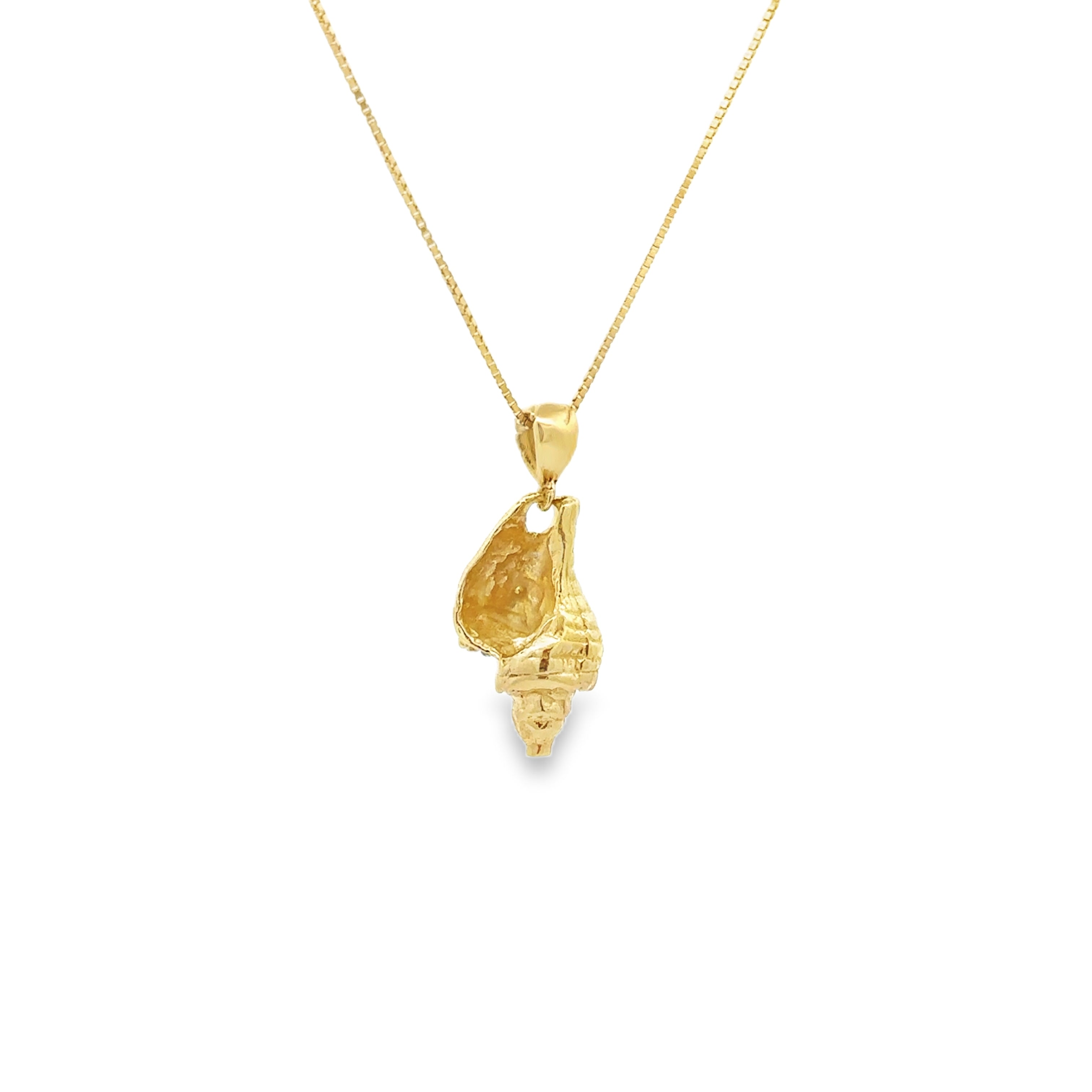 Estate Collection: 10K Yellow Gold Seashell Pendant Necklace with a New Chain