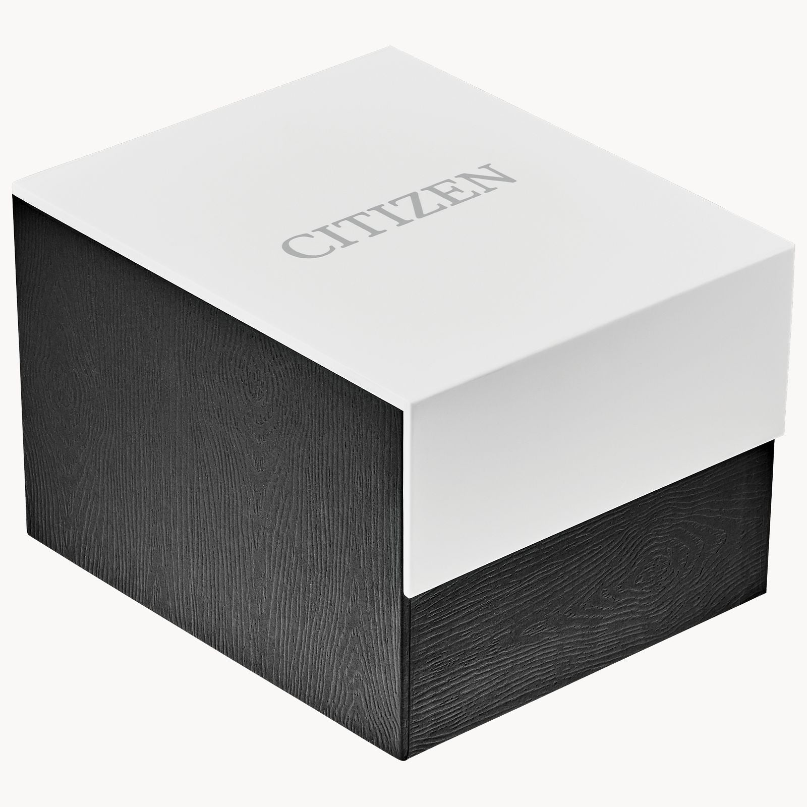CITIZEN MEN'S - Tsuki-yomi A-T