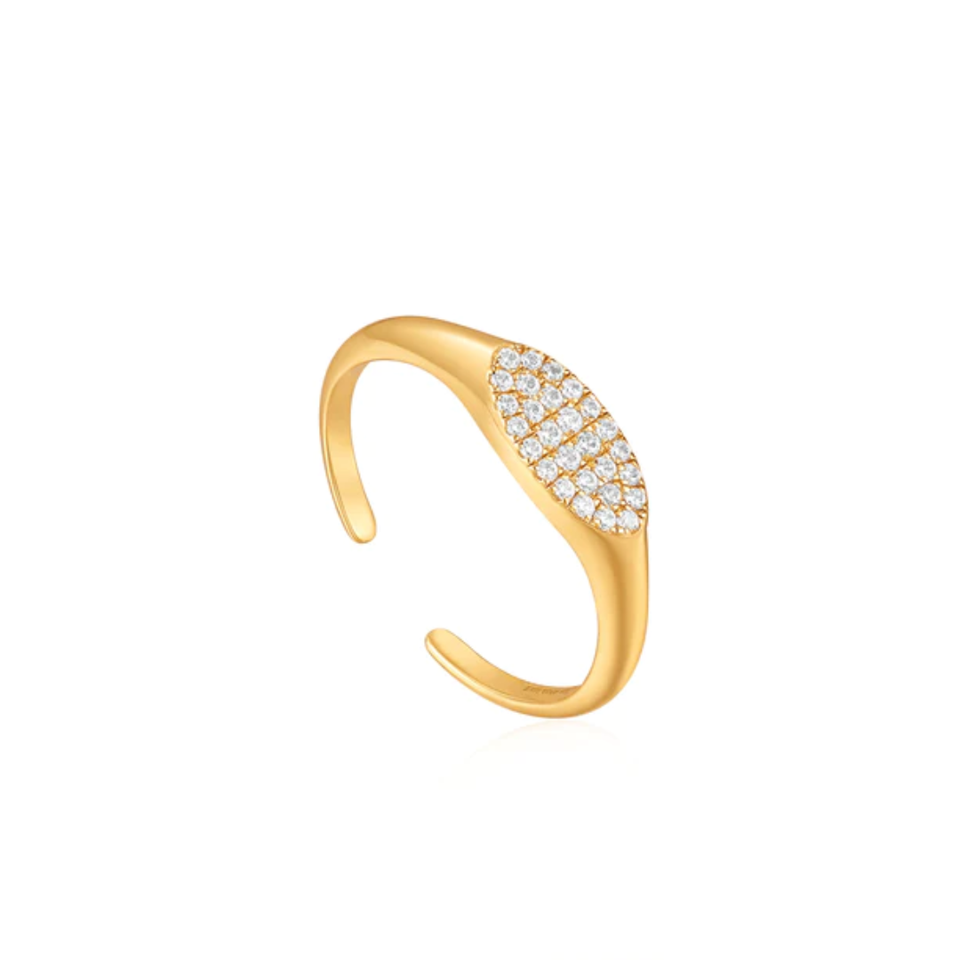 Ania Haie Gold-Plated Glam Adjustable Signet Ring