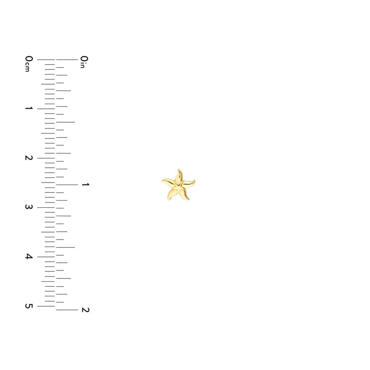 14k Yellow Gold Starfish Stud Earrings