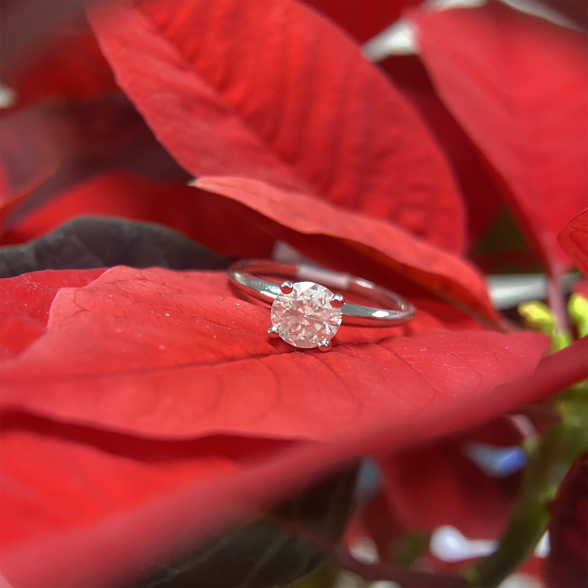14K White Gold 1.00CT. Diamond Solitaire Engagement Ring