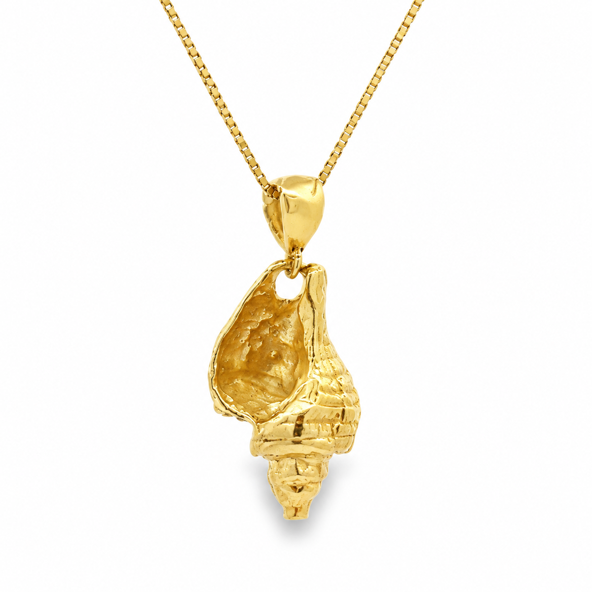 Back view of an estate 10K yellow gold sculpted seashell pendant on a new yellow gold box chain.
