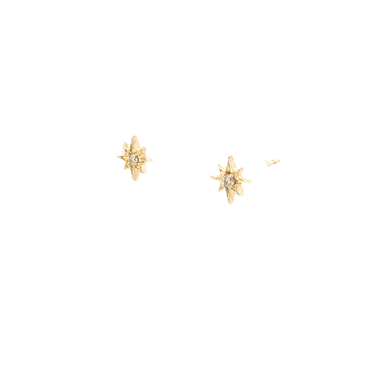 14K Yellow Gold 1/50CT. Northern Star Diamond Earrings