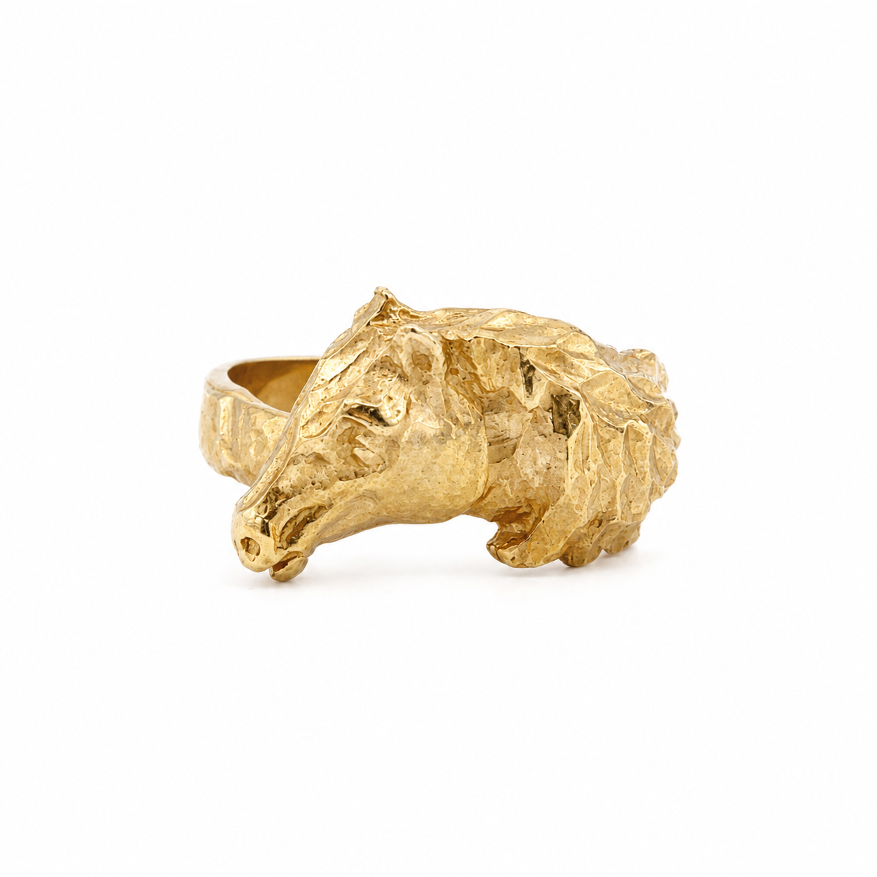 horse ring on a white background