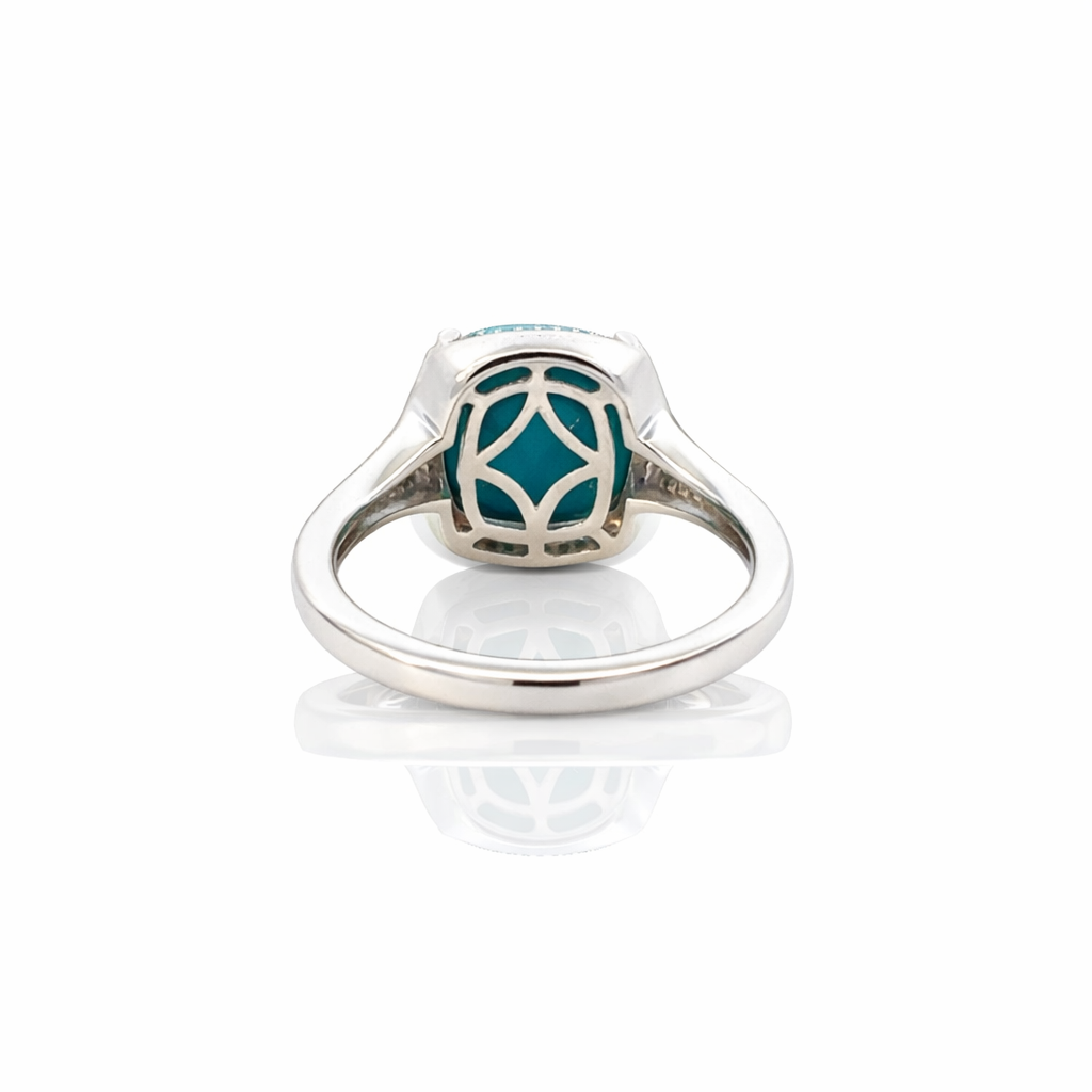 Back view of ring on white background