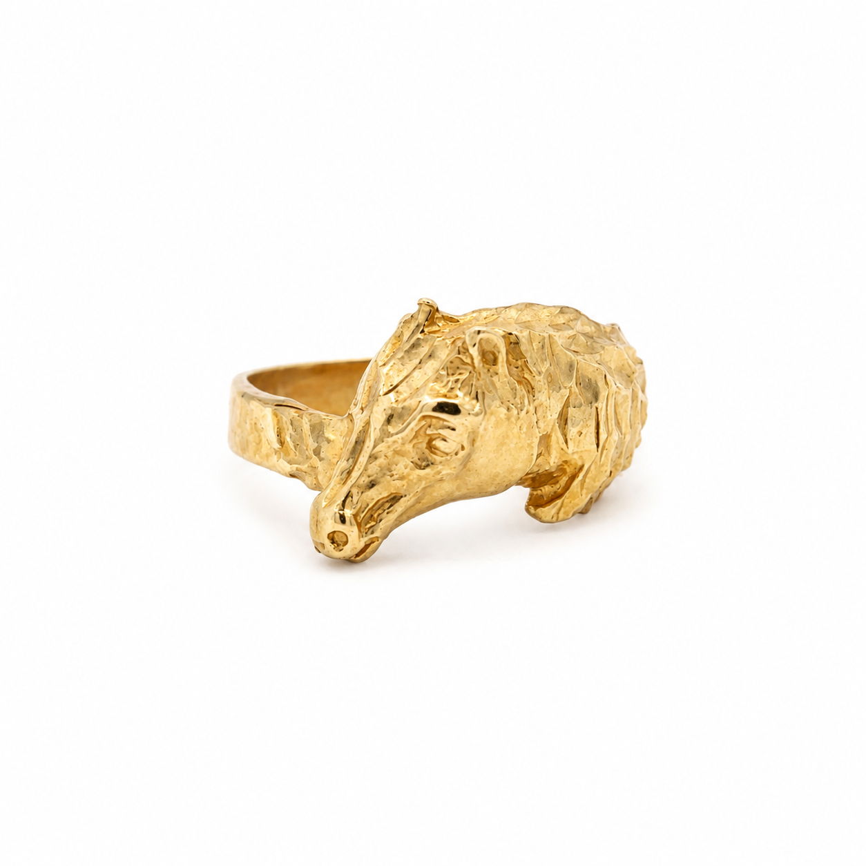 horse ring on a white background 