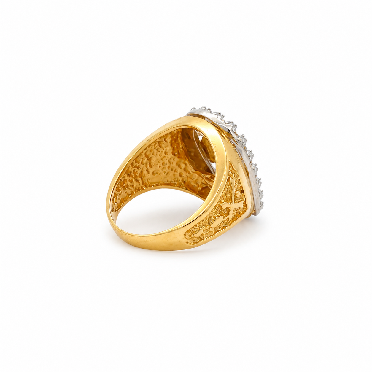 back view on horse ring 