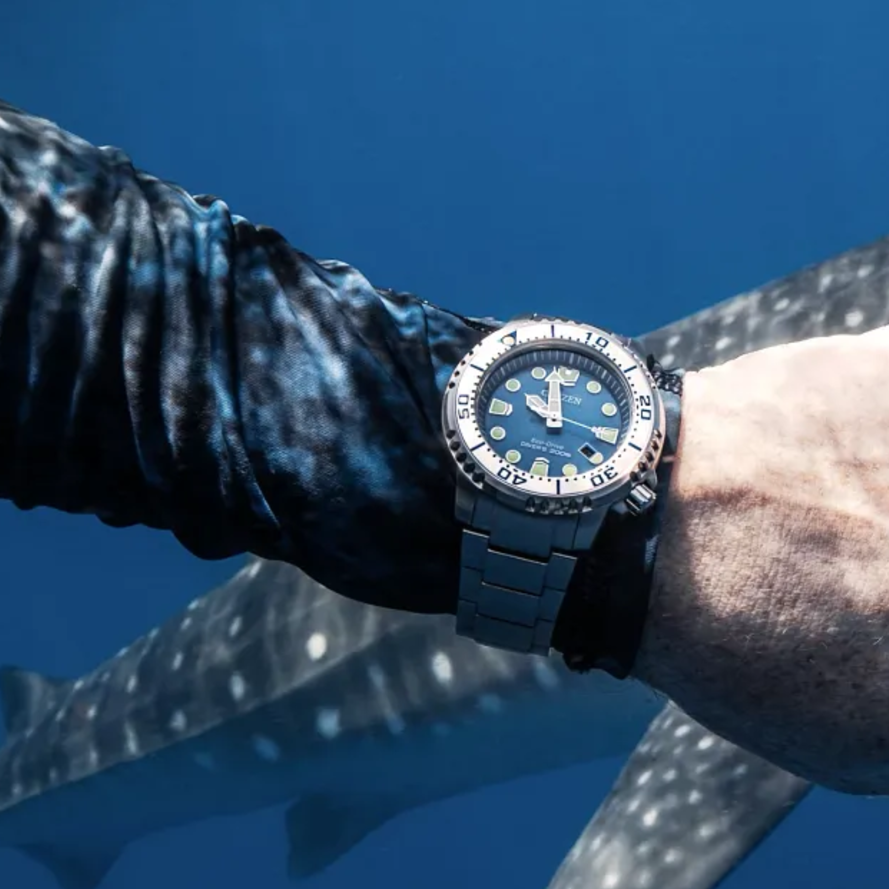 Person wearing a blue wristwatch underwater with a shark nearby