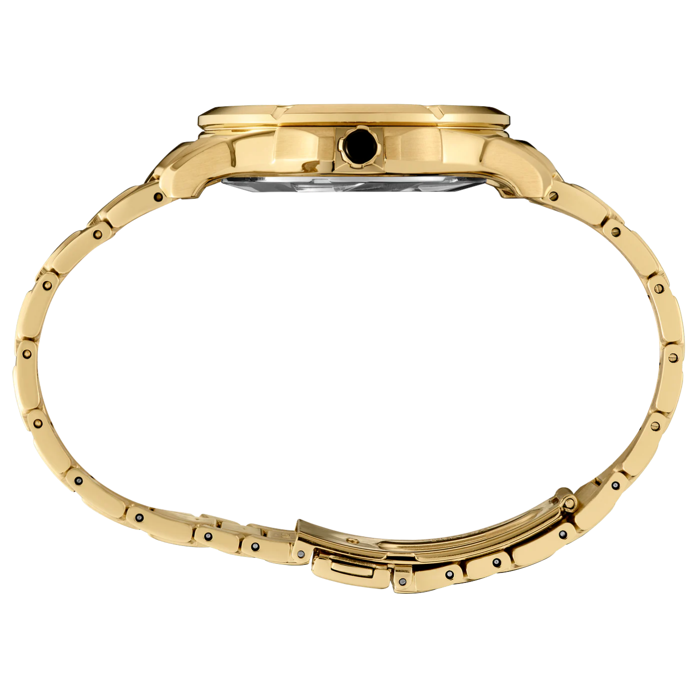 Gold watch case on a white background