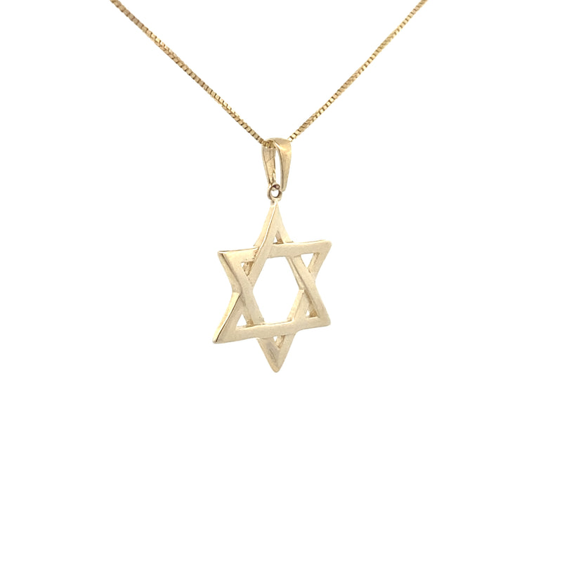 10K Yellow Gold Star of David Pendant Necklace