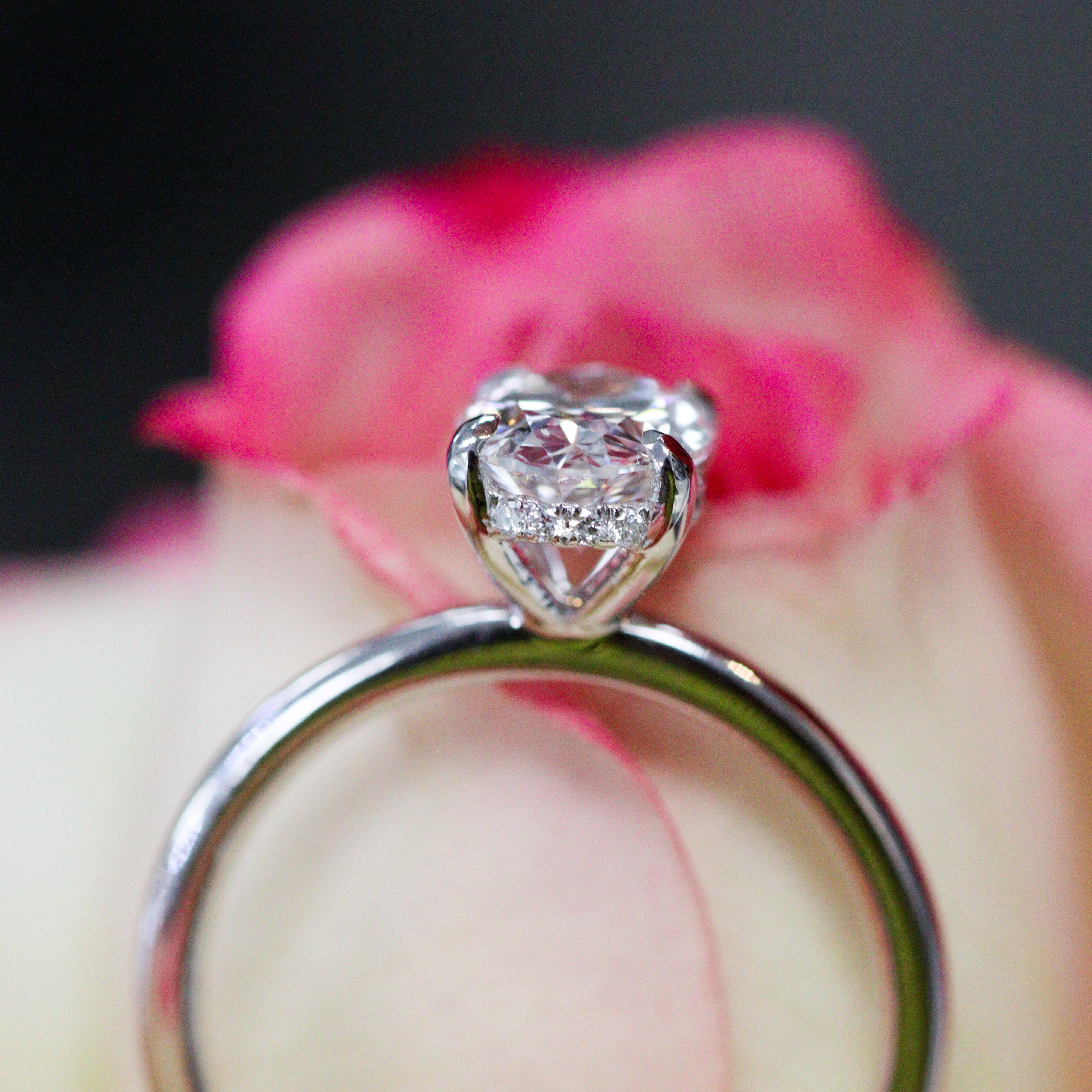 Picture of oval ring from side on a rose, showing hidden halo