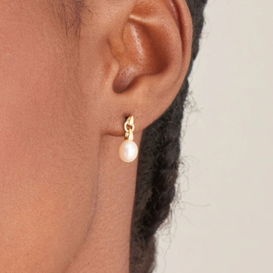 Ania Haie Gold Pearl Drop Stud Earrings