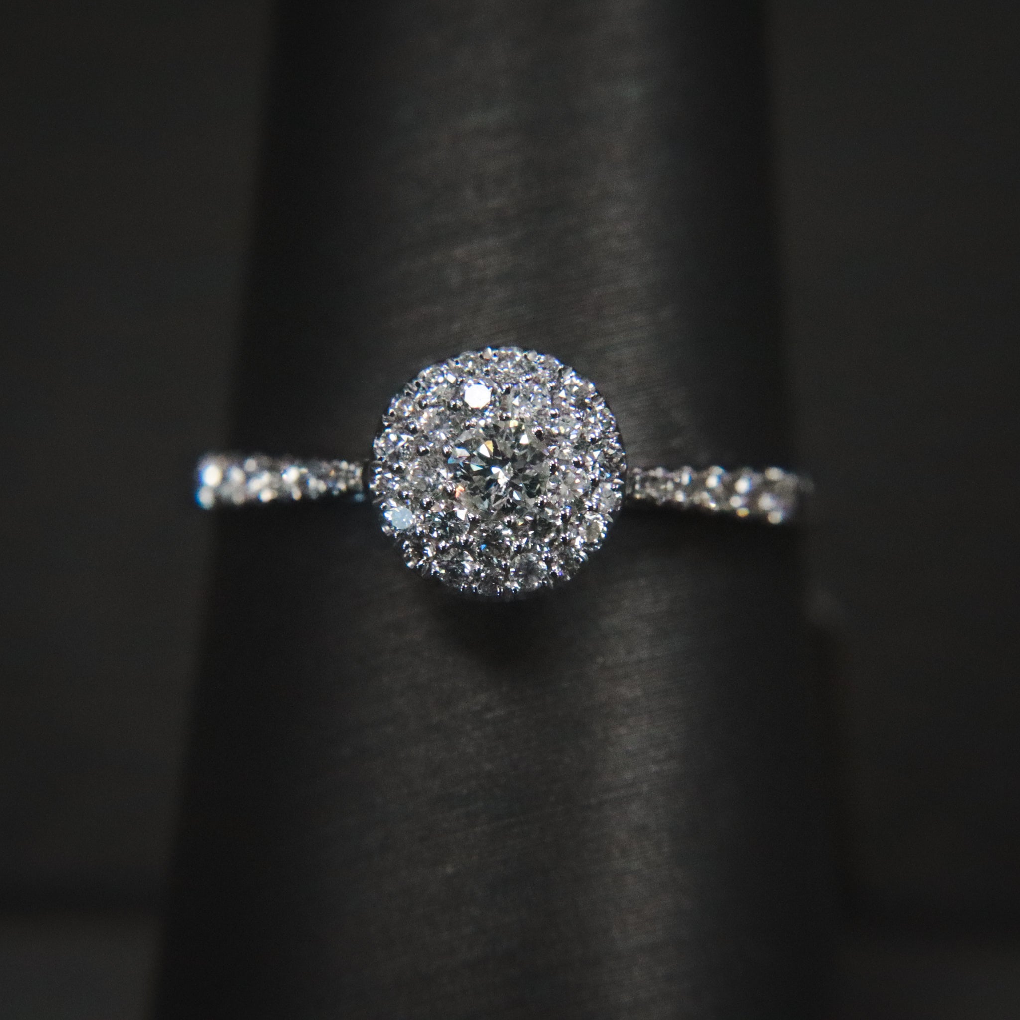 The "Anaya" — 14K White Gold 1/3CTW. Diamond Double-Halo Engagement Ring